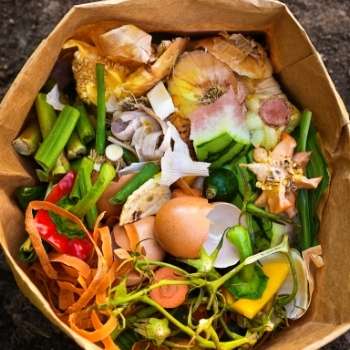 Organic food waste for composting