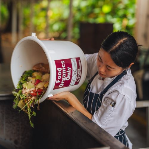 Food waste being poured into a commercial composter